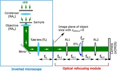 Partially Coherent Optical Diffraction Tomography Toward Practical Cell Study